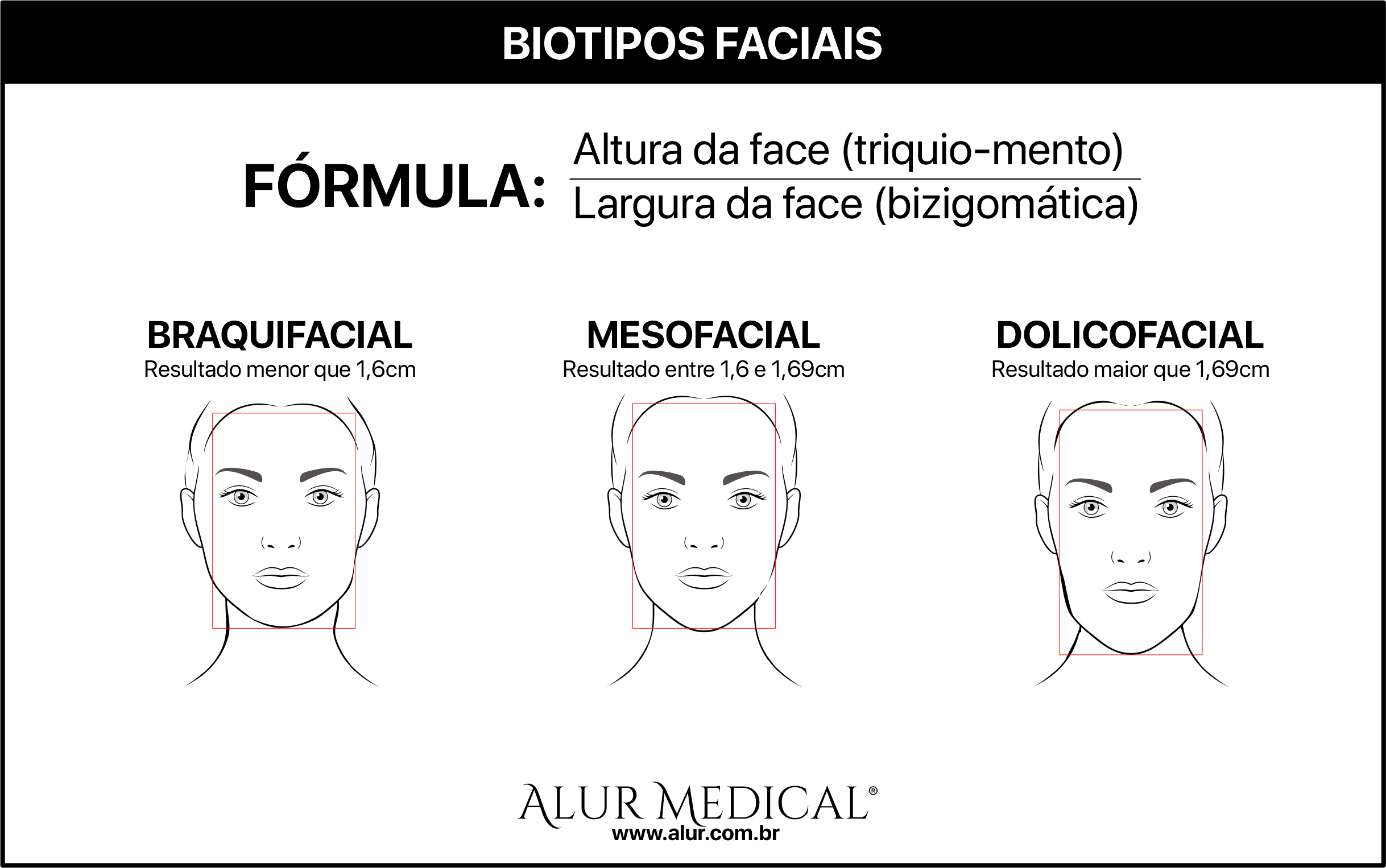 biotipos faciais
