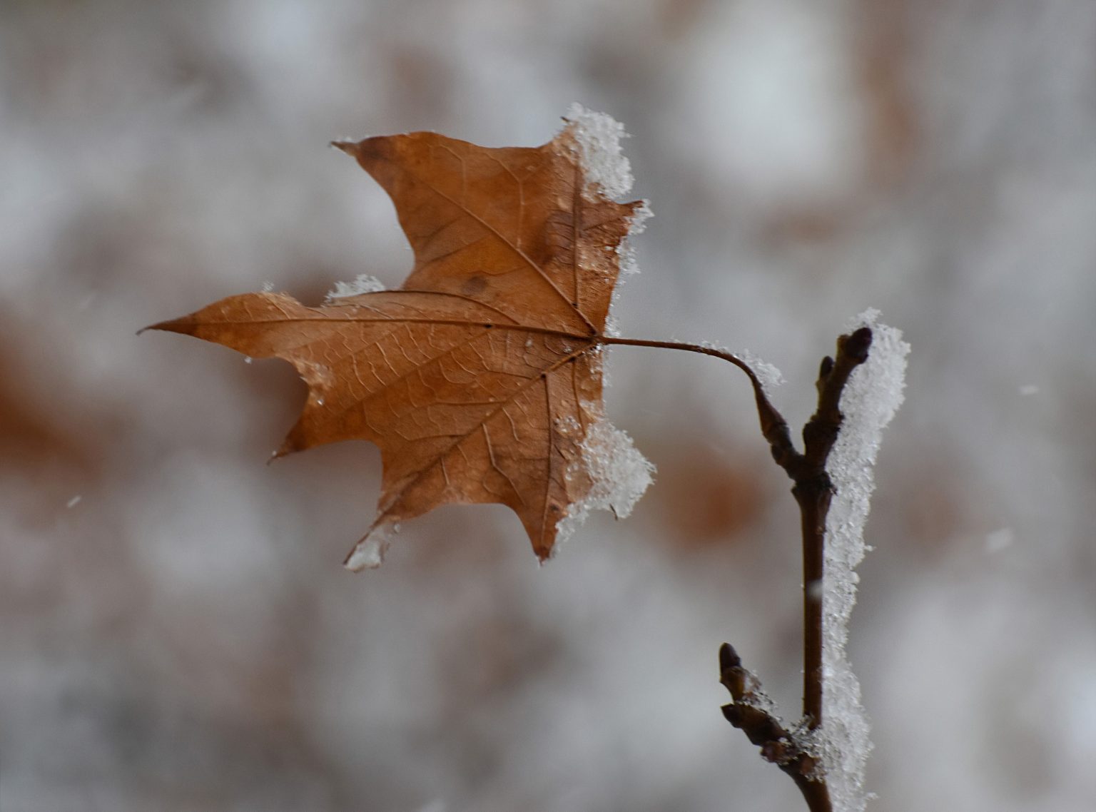 tendencias de procedimentos esteticos para fazer no inverno